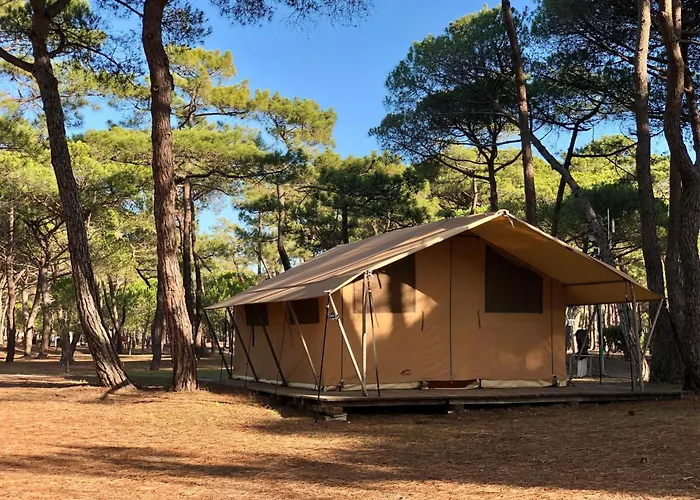 Camping la Tamarissière